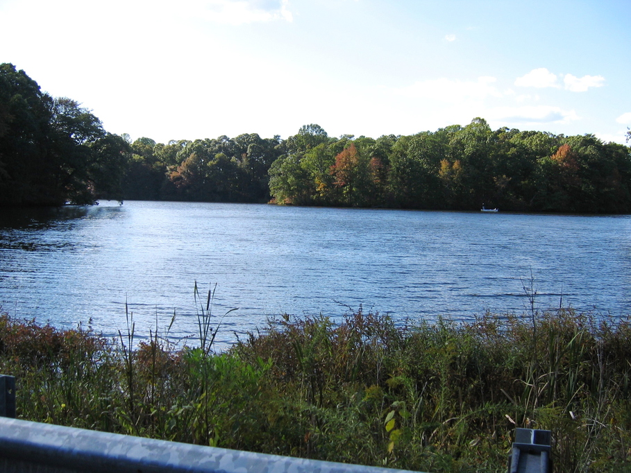 Frederica, DE: Mc Ginnis Pond in Frederica DE near Riverview Estates.
