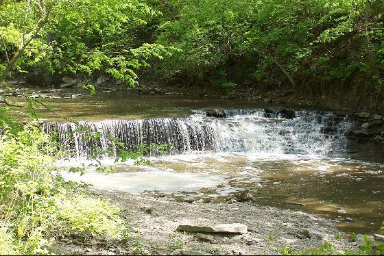 Sharonville, OH: Buckeye Falls at Sharon Woods Park