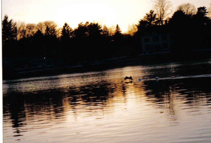 Warren, RI: Reflection on the Water, Warren Harbor.