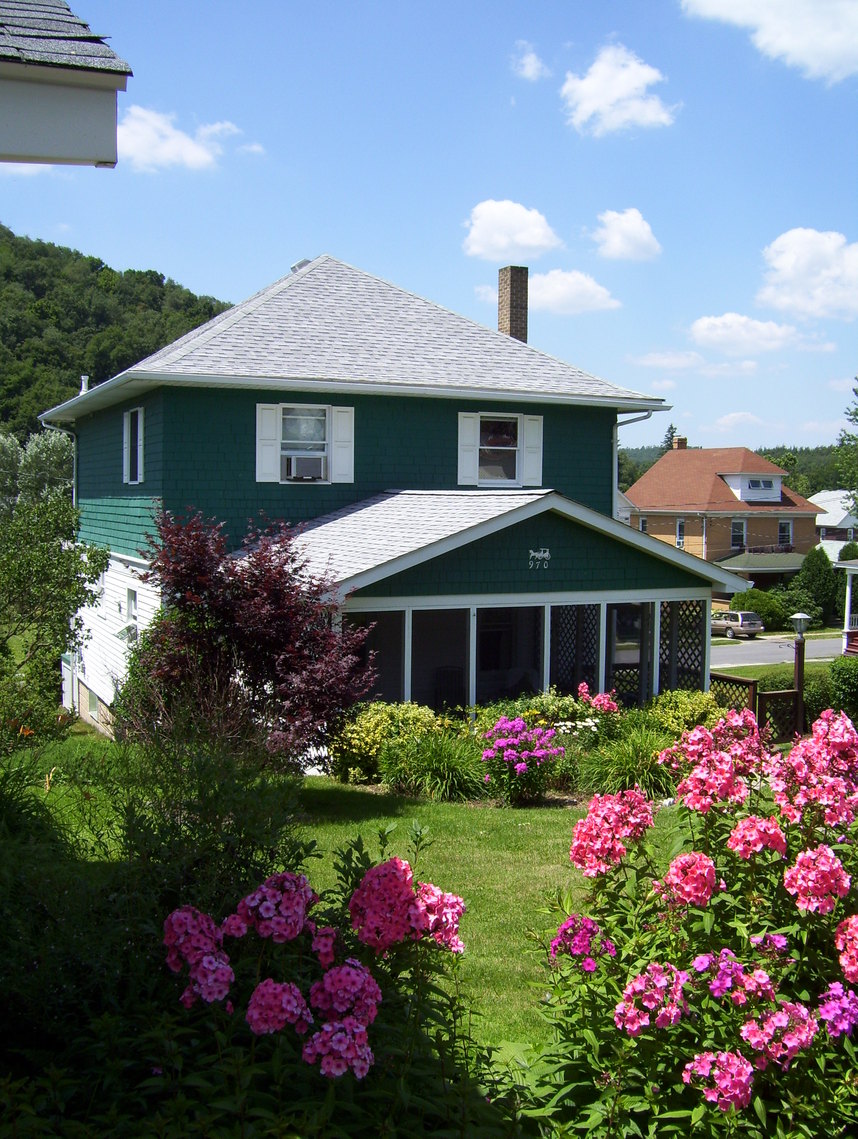 Hooversville, PA: summer flowers from the back lane