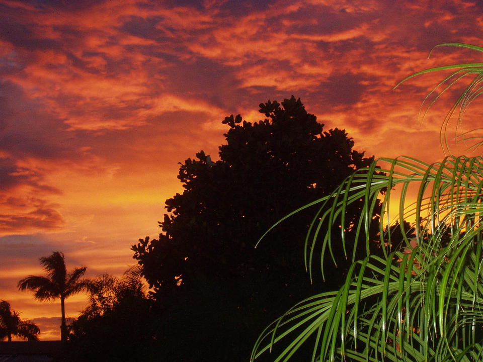 White City, FL: Sunset at Tropical Isles