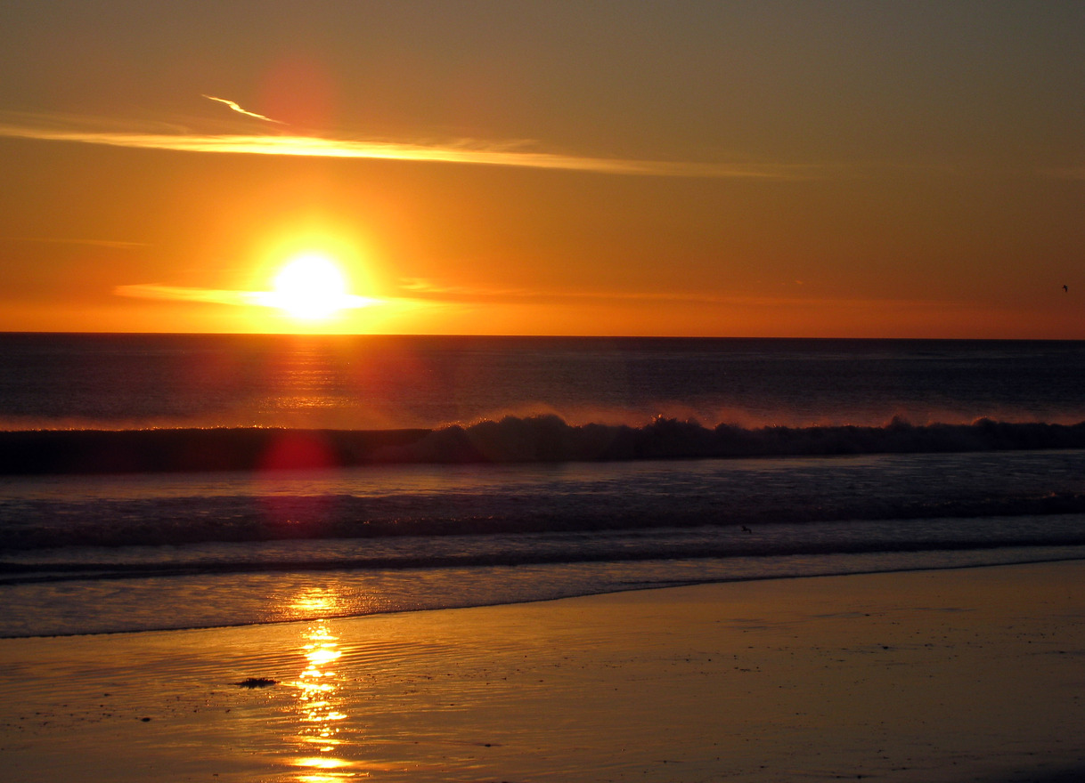 Carpinteria, CA: SHELLS ON THE BEACH