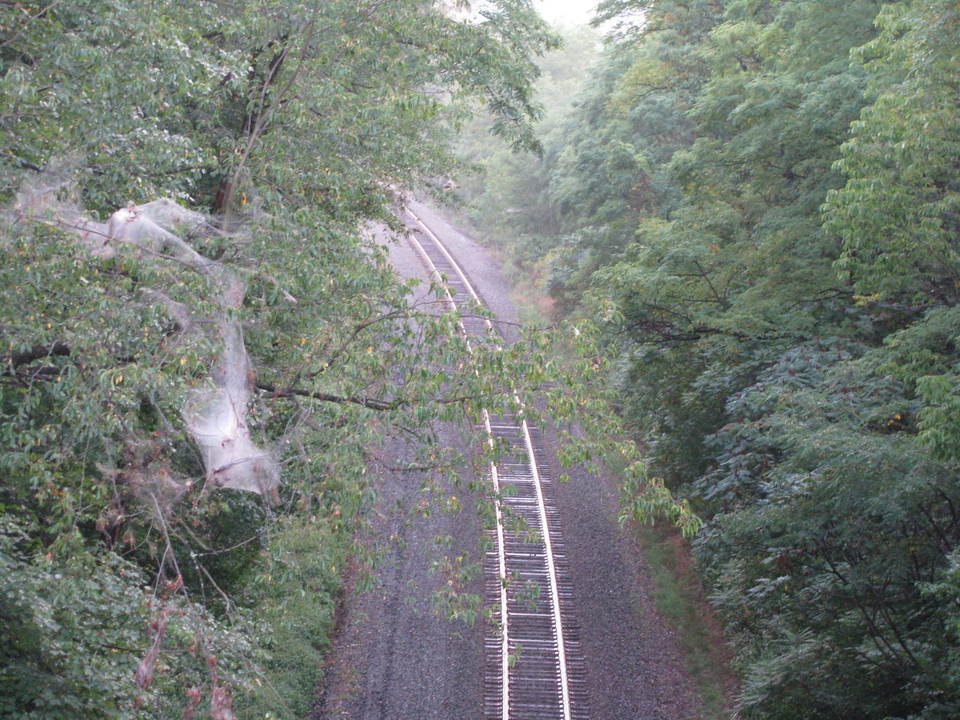 Jersey Shore, PA: Railroad tracks in Antes Fort