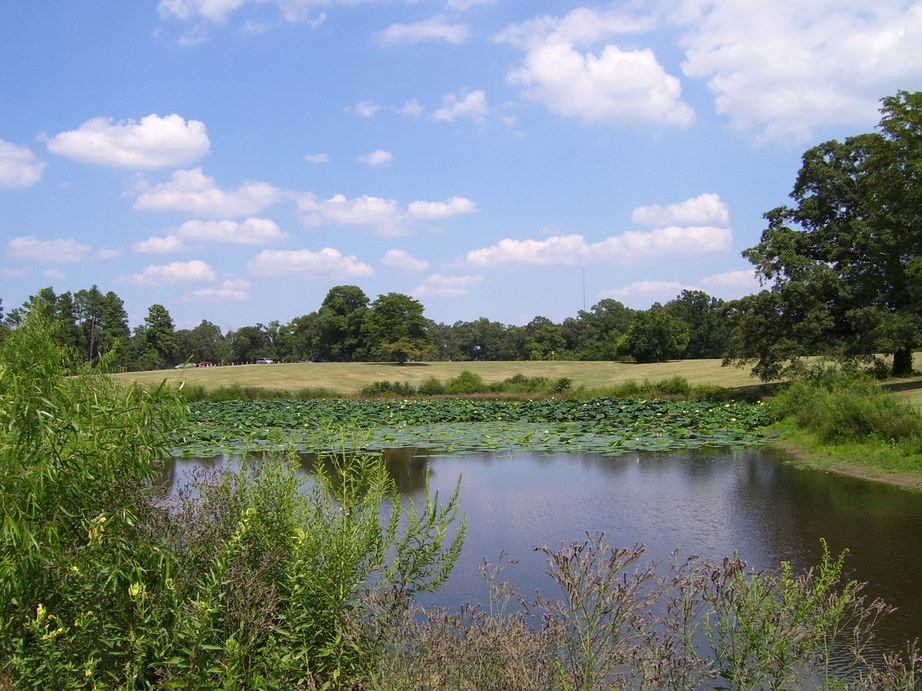 Memphis, TN: Pond at Shelby Farms-the largest urban park in America