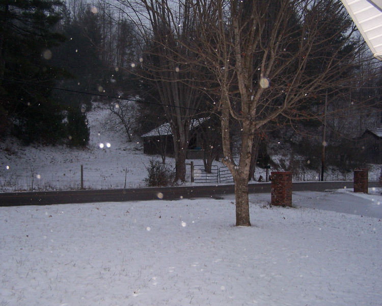 Flag Pond, TN: Snow in Flag Pond