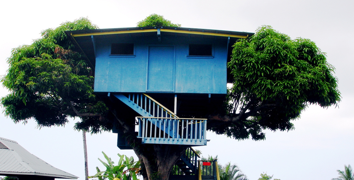 North Kona, HI: House built on a mango tree, picture taken in Kona, HI