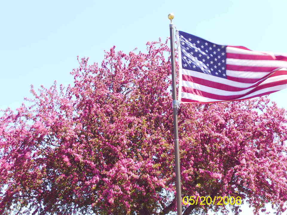 Green Isle, MN Springtime in Green Isle, MN photo, picture, image