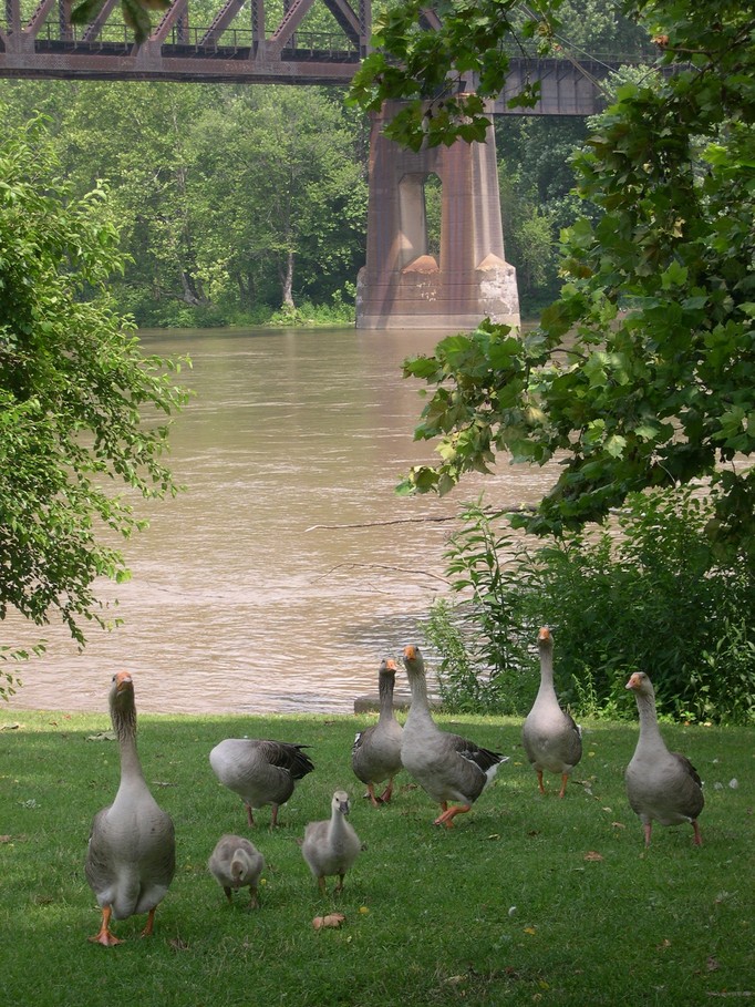 Connellsville, PA: Yough River Park