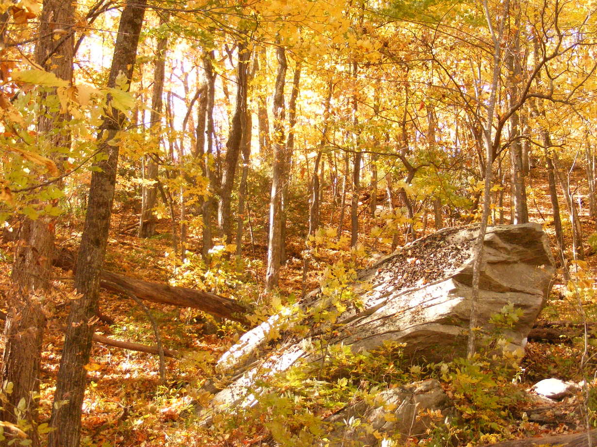 Boone, NC: Fall colors