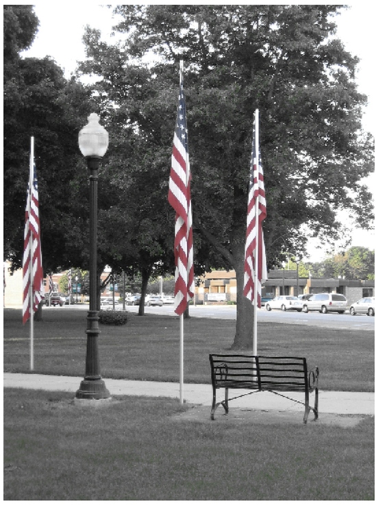 Charles City, IA: Charles City Flags