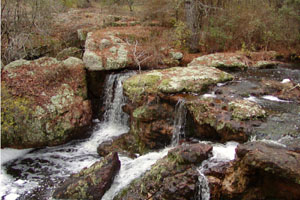 Broxton, GA: Broxton Rocks Ecological Preserve(Coffee County)-a sandstone outcrop that extends almost 4 miles.It contains nearly 500 species of plants, some of which are rare and endangered. One of God's beautiful creations.