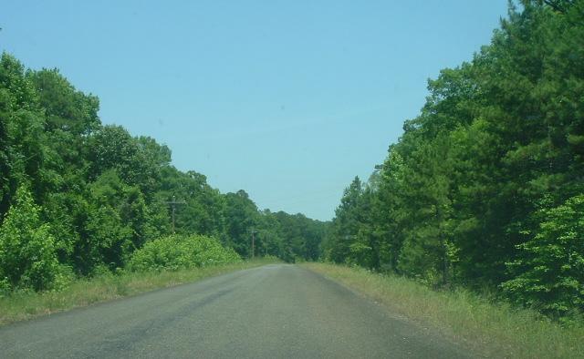 Lone Star, TX: A nice pic I took while driving.