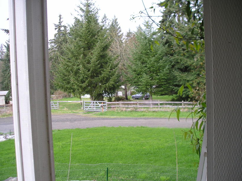 Graham, WA: Photo of the front yard of my home