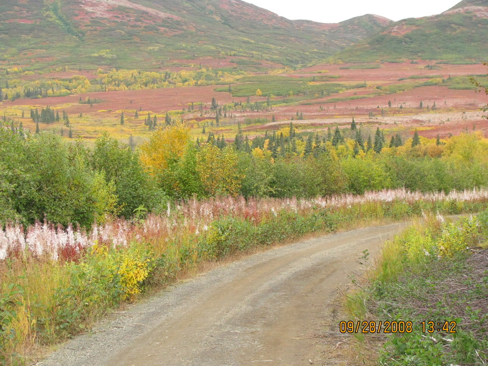 Dillingham, AK: Fall scene from Snake Lake rd