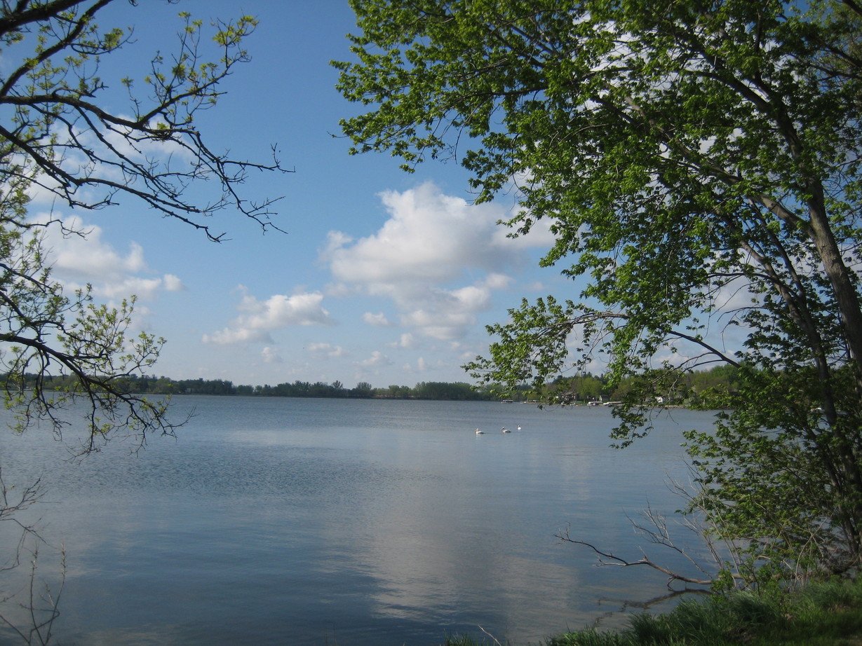 Worthington, MN: double rainbow by the lake, and pelicans on the lake, and a third picture at the lake