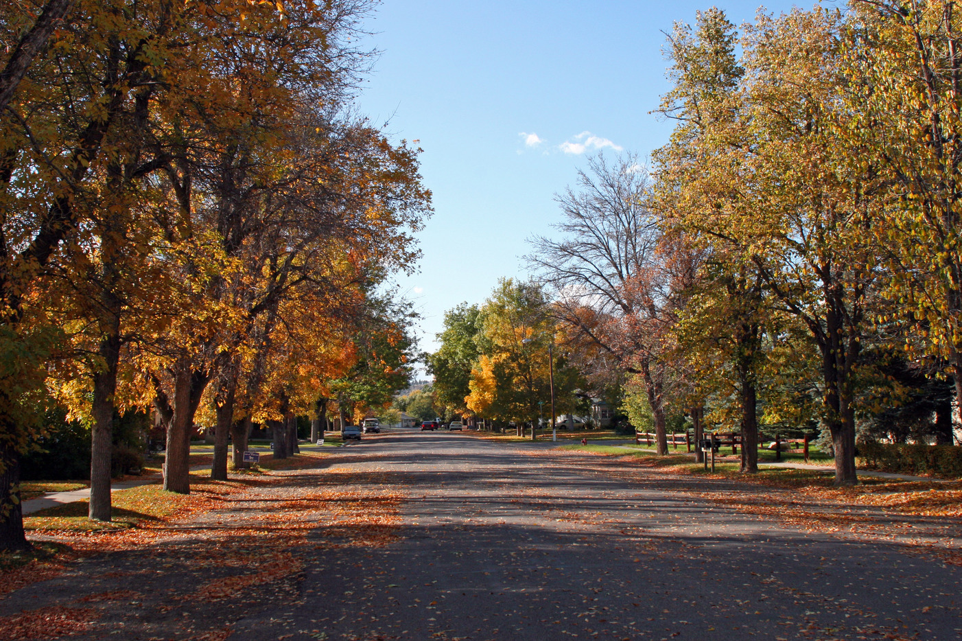 Columbus, MT: Columbus, Mt. boasts an array of colors in the fall!