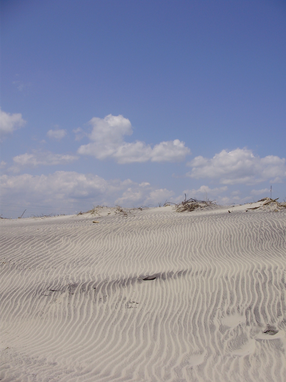 Nags Head, NC: Sand Dunes at Nags Head