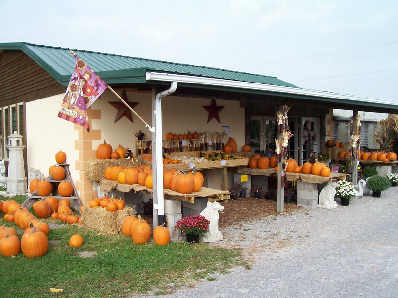 Antwerp, OH: The Meadow in Antwerp, OH