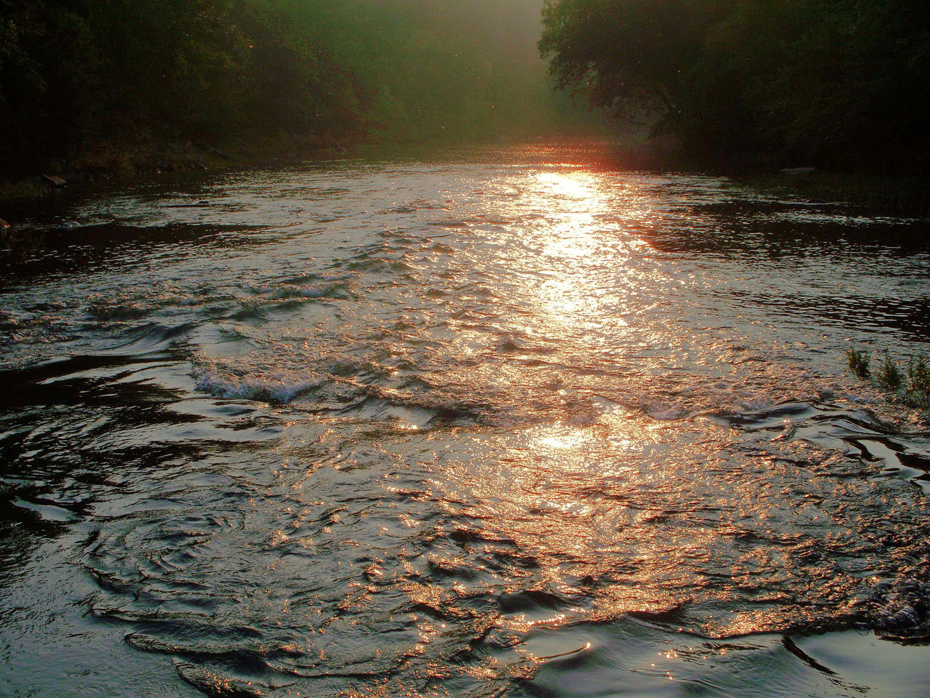 Wickes, AR: Low Water Bridge Camp Site Evening Light