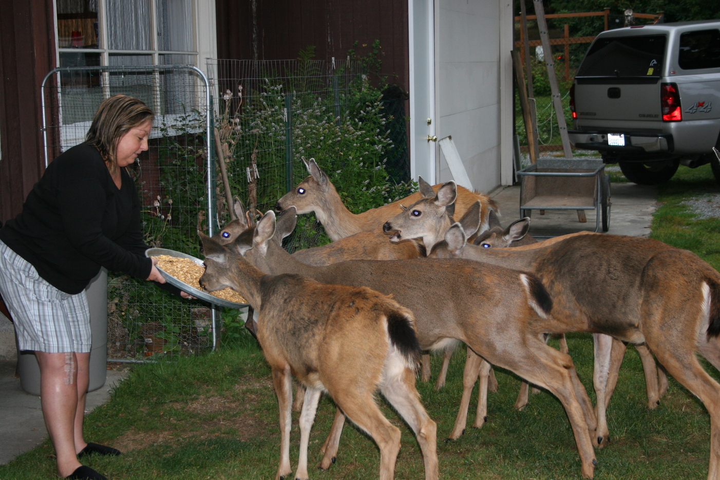 Freeland, WA: Feeding the gals - & guy - breakfast - Admiralty Inlet