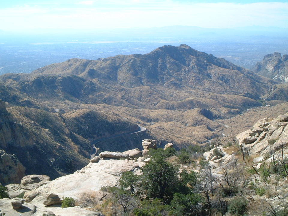 Tucson, AZ: Mt. Lemmon
