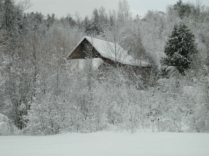 Saranac, NY: Taken mid winter on the True Brook Rd in Saranac NY