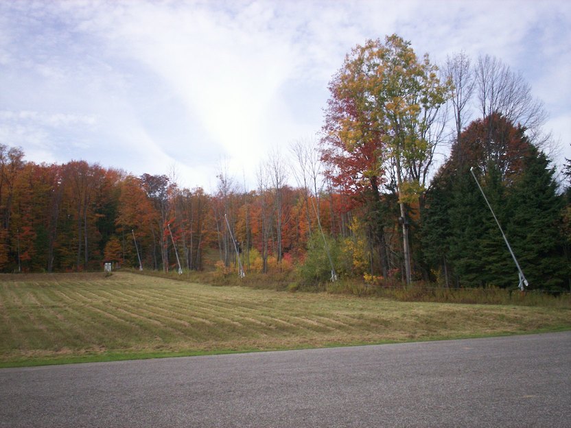 clymer-ny-fall-foilage-photo-picture-image-new-york-at-city-data
