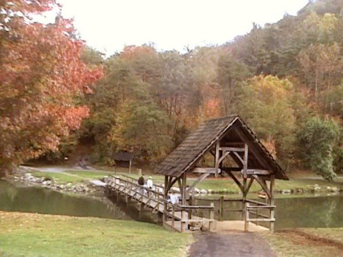 Bristol, TN: Steele Creek Park in Bristol