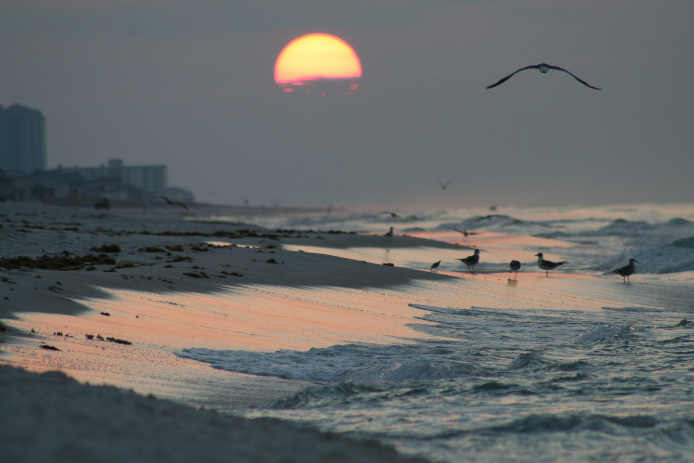 Pensacola, FL: Pensacola Beach Sunrise