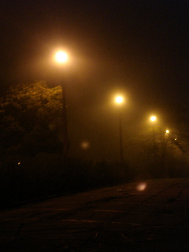 Glencoe, IL: A Night Walk