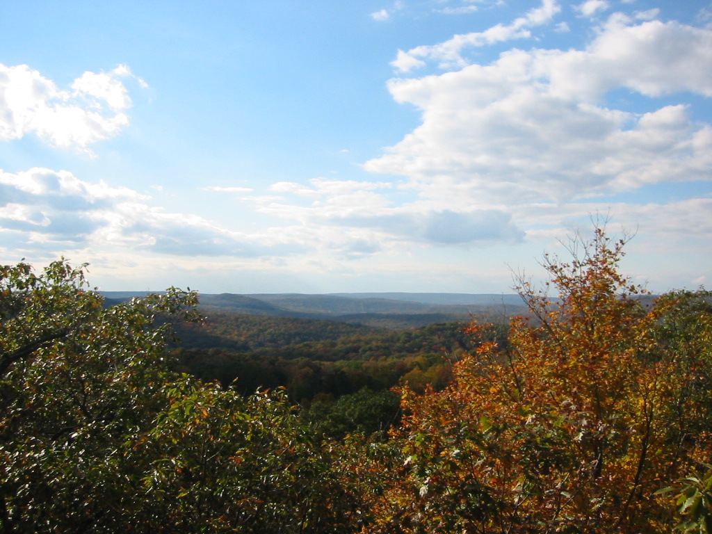 Ringwood, NJ: Ringwood State Park (view from Warm Puppy Rock)