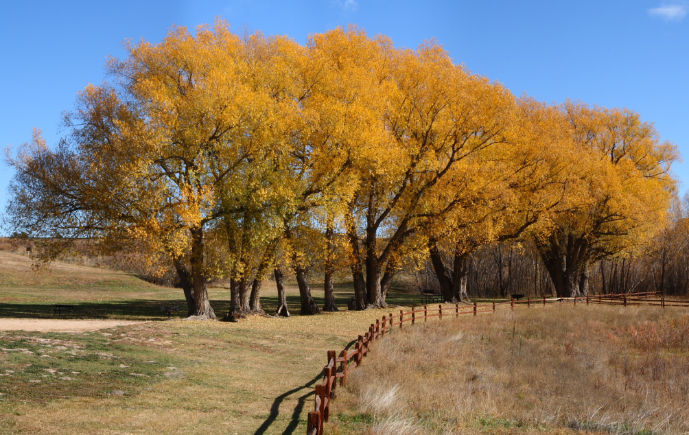 Monument, CO: Dirty Woman Creek Park, Monument, CO