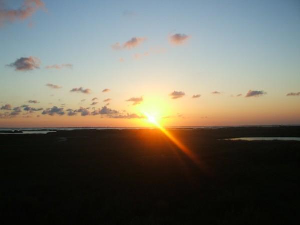 Galveston, TX: Sunset on a Galveston nature walk