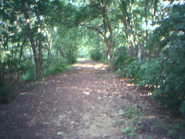 Hazel Crest, IL: Wooded area at Oak Valley Park 171st and Rockwell