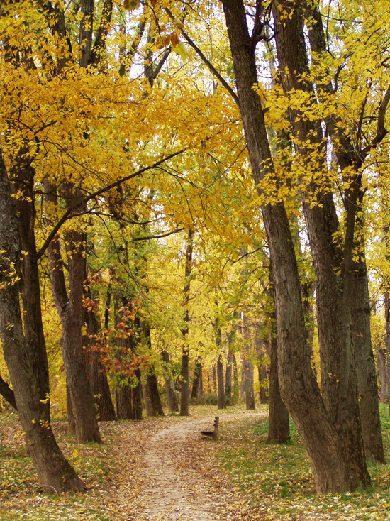 Columbus, IN: Mill Race Park