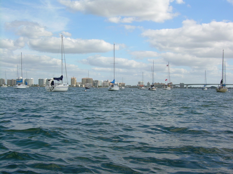Sarasota, FL: Sarasota Sailing Fleet, Downtown Sarasota, Sarasota Bay