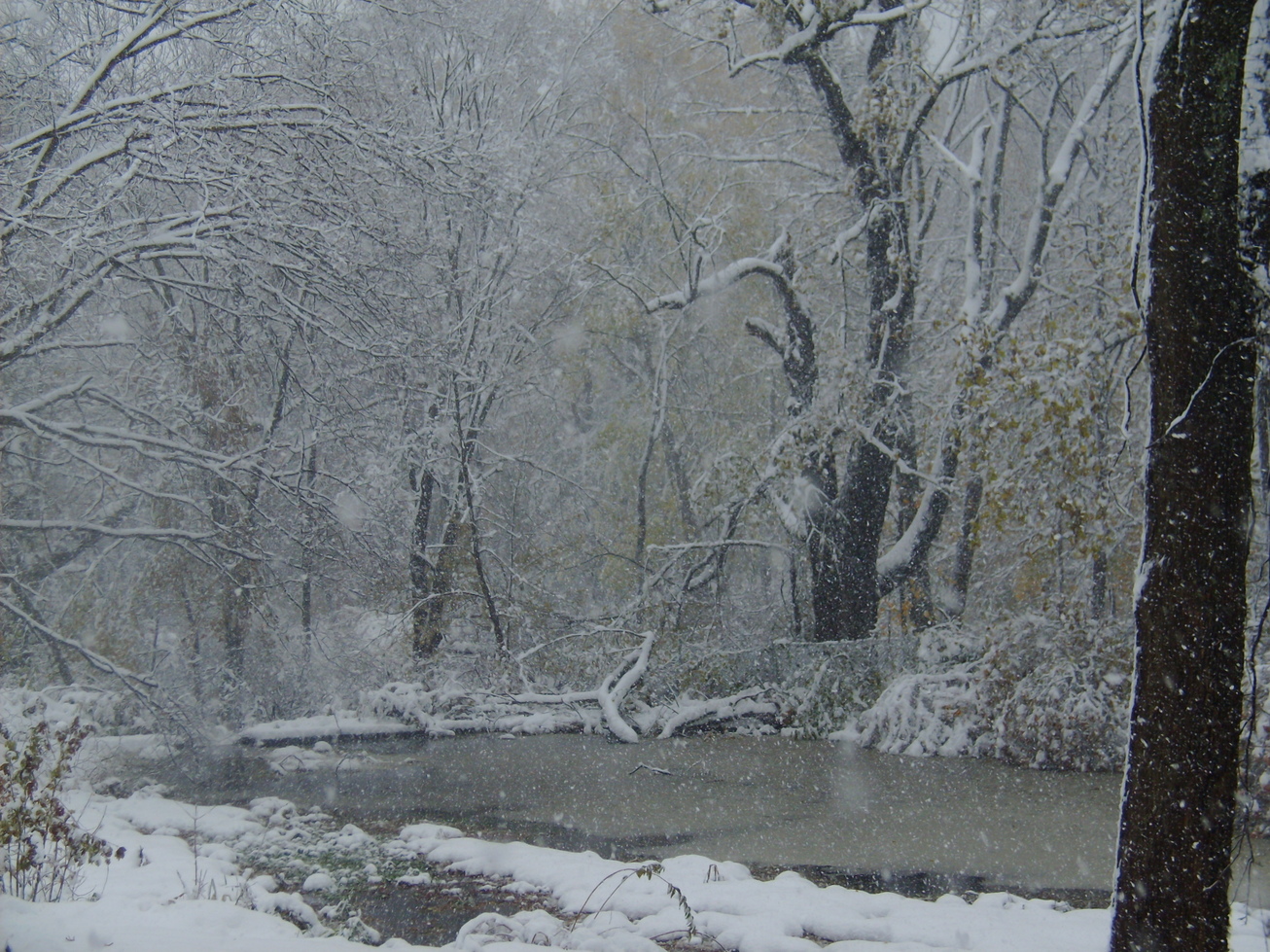 Long Valley, NJ: Oak Cottage Pond- October 28,2008 Record Snowfall (http://www.OakCottage.info