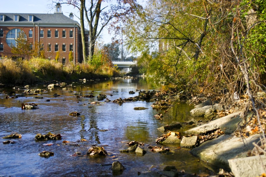 Sylvania, OH: The 10 Mile creek, facing the Wingate Hotel - Sylvania, Ohio