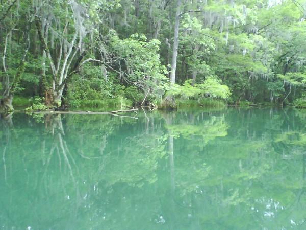 Dunnellon, FL: Reflections on the Water on the Rainbow River