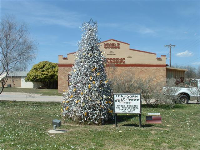 Junction, TX: Junction, Texas - Deer Horn Christmas Tree