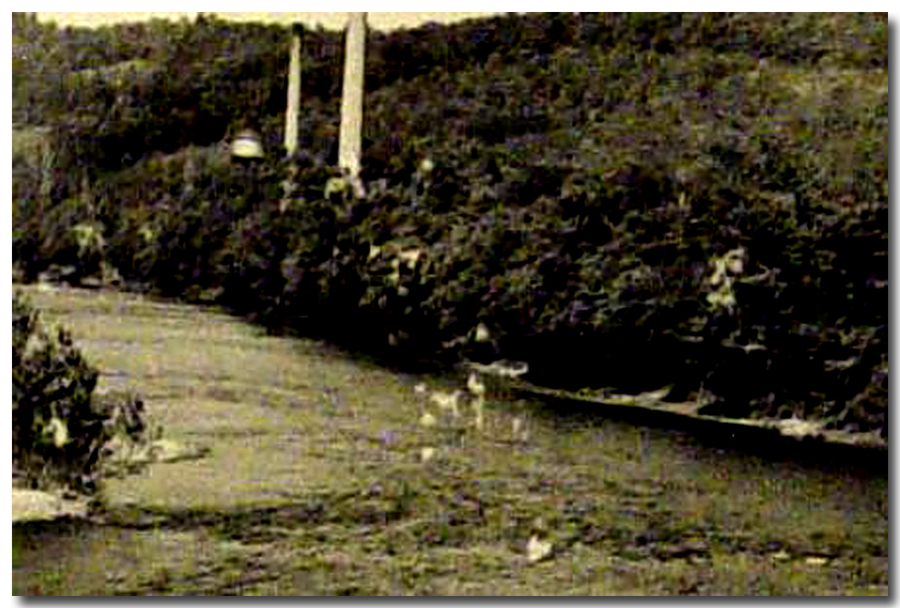 Ronceverte, WV: LOOKING DOWNRIVER TOWARD THE VEPCO POWER PLANT STACKS FROM THE US-219 GREENBRIER RIVER BRIDGE - CIRCA 1953