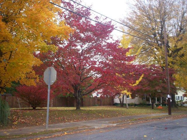 Whitmire, SC : Turning on to Church street. Fall in Whitmire photo ...