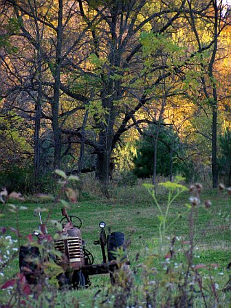 Mabel, MN: Tractor in a field near Riceford Church