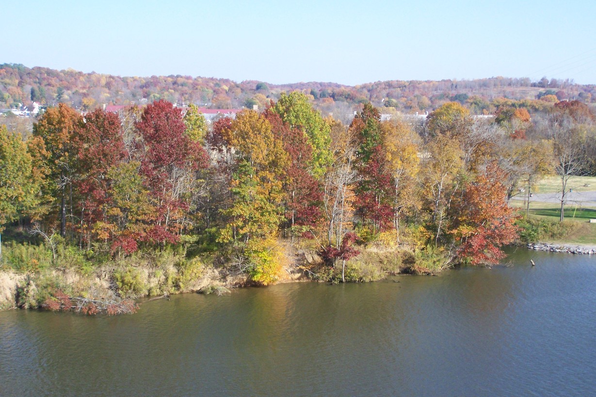 Ashland City, TN: Ashland City Fall Colors