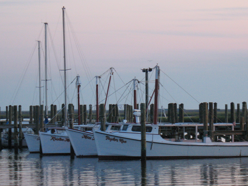 Poquoson, VA: Messick Point-the morning of Wednesday, Sept. 3, 2008