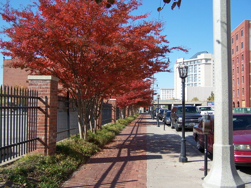 Oklahoma City, OK: Bricktown