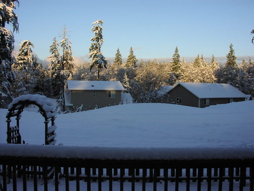 Freeland, WA: Winter wonderland...for a few hours
