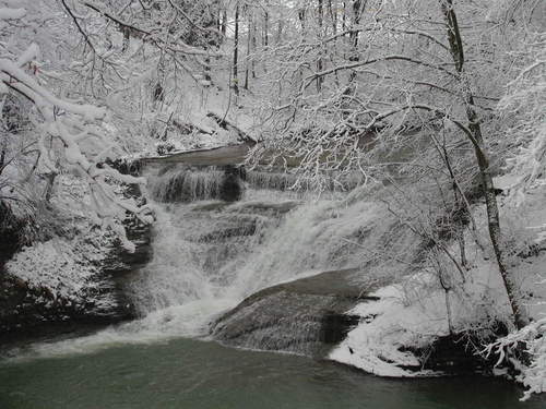 Forestville, NY: Walnut Creek Falls- Along Walnut Street in the village