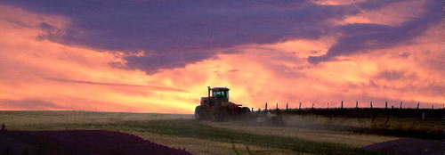 Culdesac, ID: Evening Plowing from Culdesac Ave.