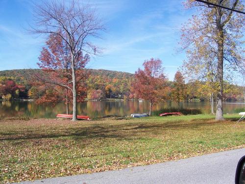 Lake Carmel, NY: Birds on Lake Carmel